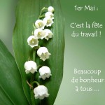 muguet du 1er mai